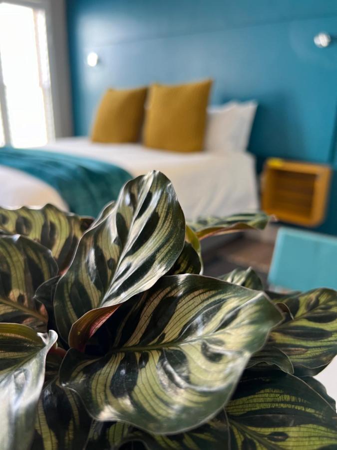 Hermanus Waterfront Apartment No 17 Dış mekan fotoğraf